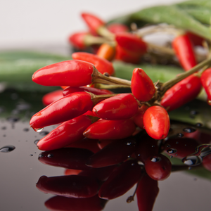 Achtung, es wird feurig: Chili