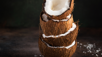 Tropischer Traum: Die Kokosnuss